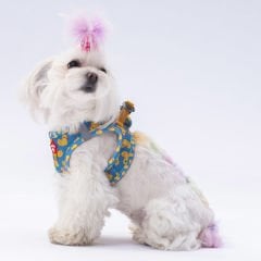 Pawstar Köpek Göğüs Tasması Ducks Desenli XS