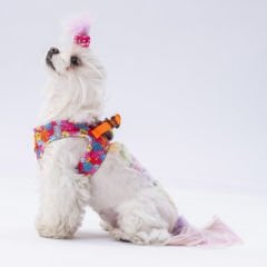 Pawstar Köpek Göğüs Tasması Monsters Desenli XS