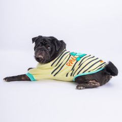 Pawstar Limon Dino Star Köpek Sweati 2XL 23727