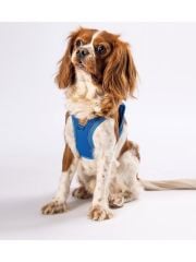 Pawstar Air Mesh Göğüs Tasması XL Mavi