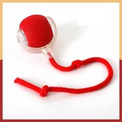 Nunbell Hareketli İnteraktif Şarjı İpli Kedi Oyun Topu P02 700-0439