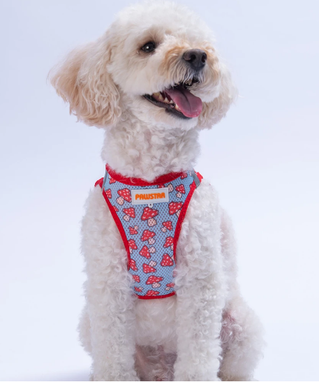 Pawstar Air Mesh Göğüs Tasması XS Mushroom