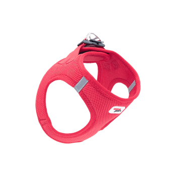 Tailpetz Air-Mesh Köpek Göğüs Tasması S Kırmızı 36-44 cm