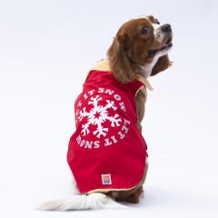 Pawstar Kırmızı Yukon Köpek Yeleği 2XL 24109