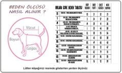 Pawstar Yeşil New York Köpek Tulumu XL 24915