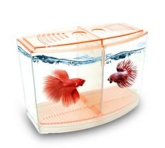 ATLANTİK İKİLİ BETA KABI 9*19*14 CM 1800 ML