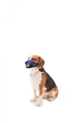 Pawise Ayarlanabilir Kumaş Köpek Ağızlığı S