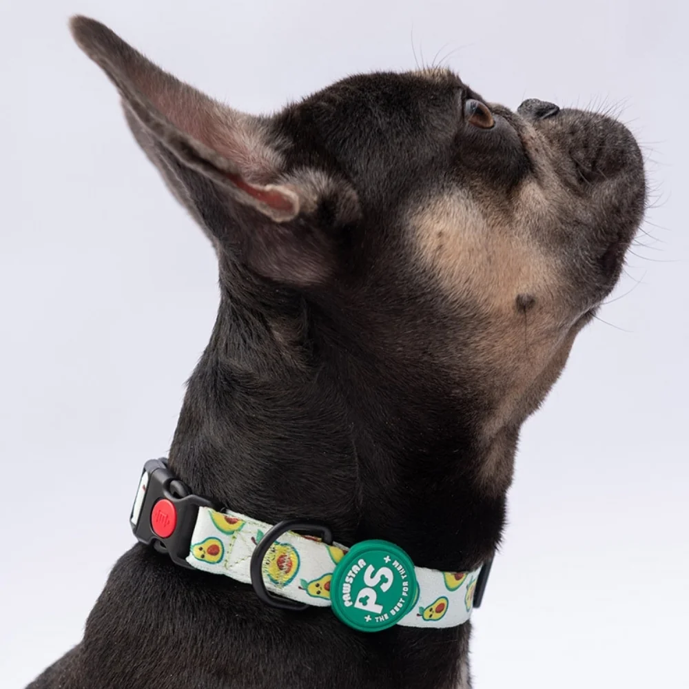 Pawstar Desenli Köpek Boyun Tasması Avocado M 2*32-48 CM