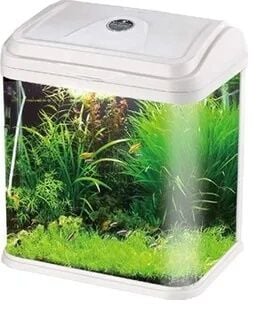 Rs Bombeli Akvaryum RS-380 38*22*44