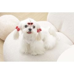 M-PETS GLAM TOKA AKSESUAR KIRMIZI 60900299