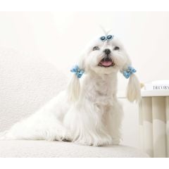 M-PETS GLAM TOKA AKSESUAR MAVİ 60900399