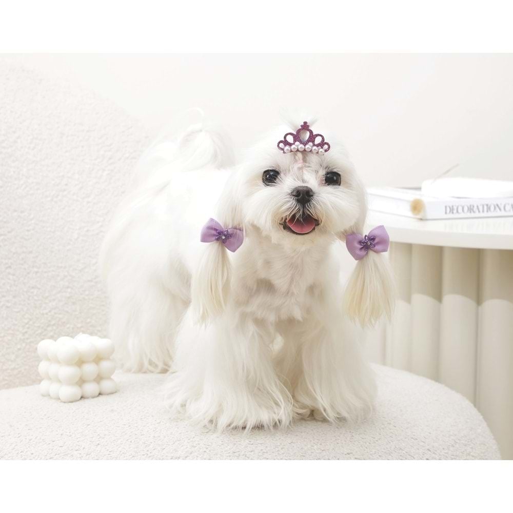 M-PETS GLAM TOKA AKSESUAR MOR 60900099