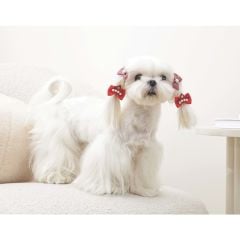 M-PETS GLAM TOKA AKSESUAR TAÇLI KIRMIZI 60900599