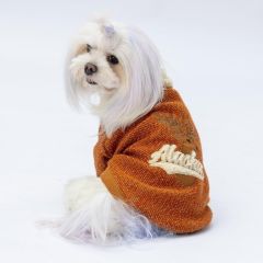 Pawstar Alaska Kiremit Köpek Sweati XL