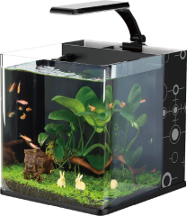 Lomas Nano 20 Aydınlatmalı Nano Akvaryum 20,5X23,5X22,5 Cm