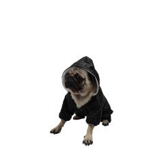 Pawstar Köpek Montu Tulum Siyah 22515 - XL