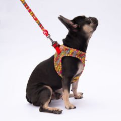 Pawstar Wow Desenli Şerit Köpek Gezdirme Sevk Kayışı 2*120 Cm