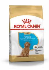 Royal Canin Poodle Yavru Köpek Maması 3 Kg