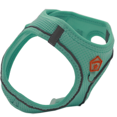Pawstar Köpek Göğüs Tasması Yeşil XS