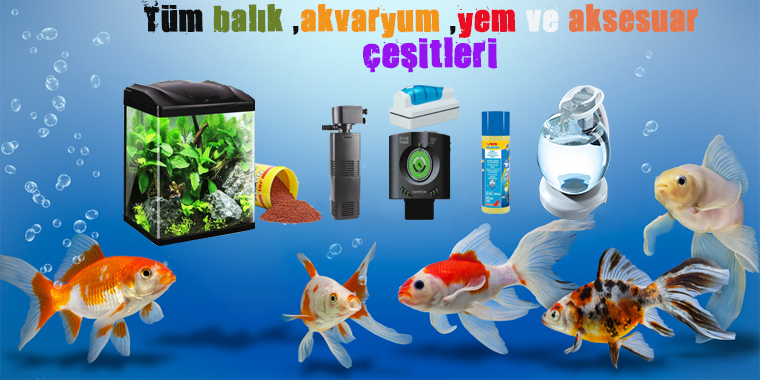 akvaryum