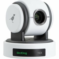 BirdDog Eyes P100 1080p Tam NDI PTZ Kamera (Beyaz)