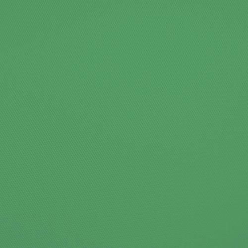 Savage (U.S.A) Stüdyo Fon Chroma Green Vinyl (152cm x 365cm)