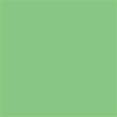 Colorama Summer Green - 59 Kağıt Fon