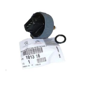 MAZOT FILTRE MÜŞÜRÜ PARTNER-BERLINGO 2000-2009 JUMPY-EXPERT-SCUDO 2000-2006 1913.16