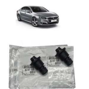 BAGAJ KAPAK TAKOZU PEUGEOT 508 2009-2018 8733AR