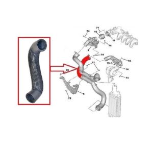 TURBO HORTUM PEUGEOT 407-CITROEN C5 II-C5 X7 2005- 0382.RY-0382LP