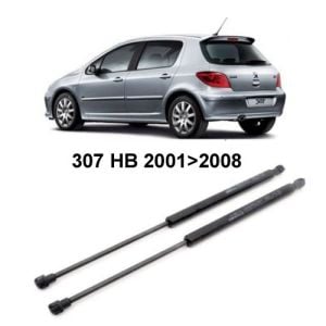 BAGAJ KAPAK AMORTİSÖRÜ TAKIM 307 HB 2001-2008 BOY:460, BAR:425N