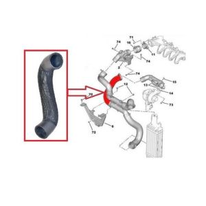 TURBO HORTUM PEUGEOT 407-CITROEN C5 II-C5 X7 2005- 0382.RY-0382LP