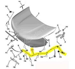 MOTOR KAPUT AÇMA TELİ C4 II-DS4 2012- 7937T9