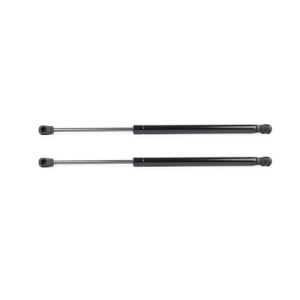 BAGAJ KAPAK AMORTİSÖRÜ SAĞ-SOL TAKIM C3 2002-2008 8731G3