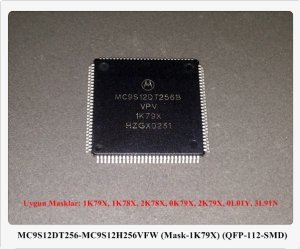 MC9S12DT256