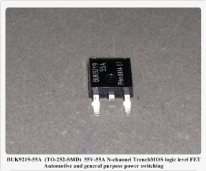BUK9219-55A