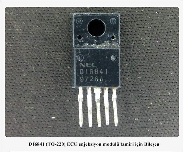D16841 