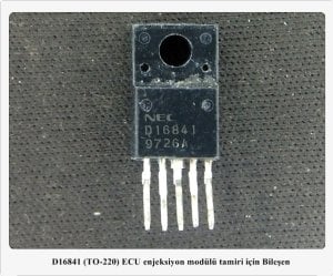D16841 