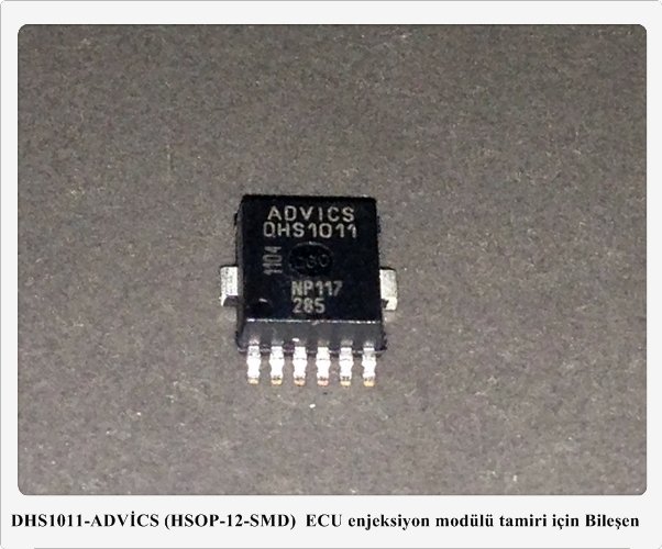 DHS1011-ADVİCS