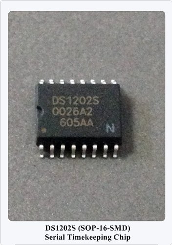 DS1202S 