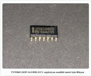 TY93065