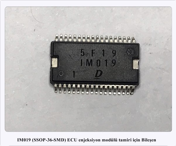 IM019 