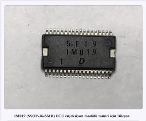 IM019 
