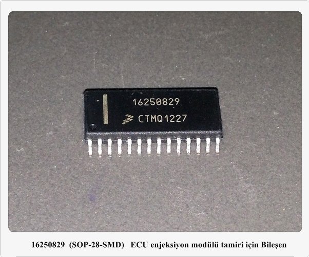 16250829 