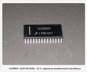 16250829 