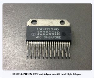 16259918
