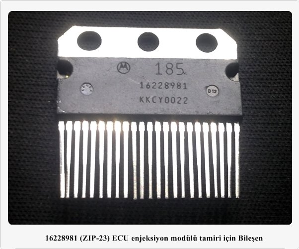 16228981