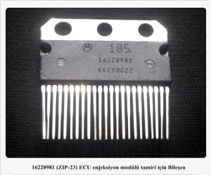 16228981