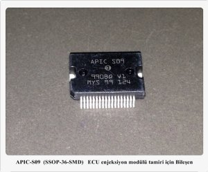 APIC-S09  