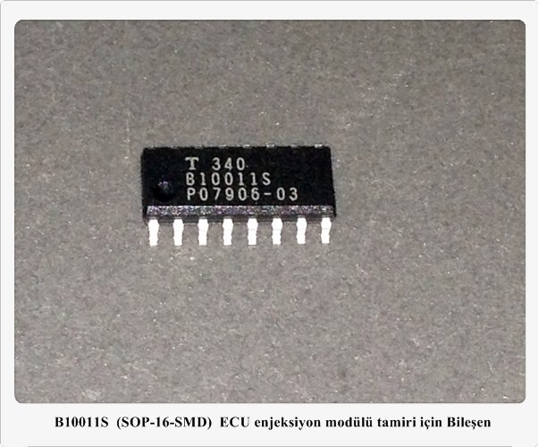 B10011S  